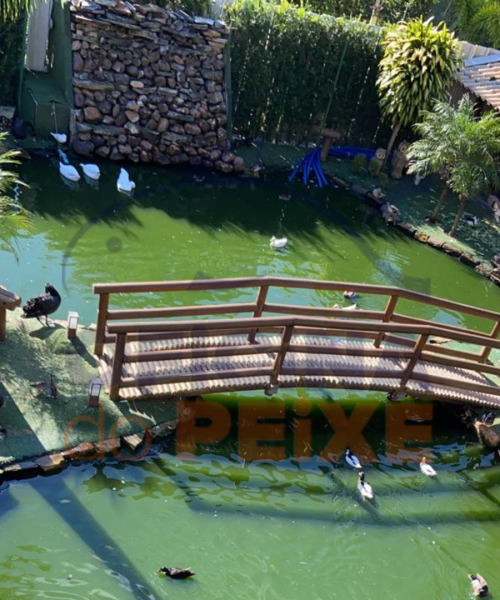 Lago-Ornamental-Contagem
