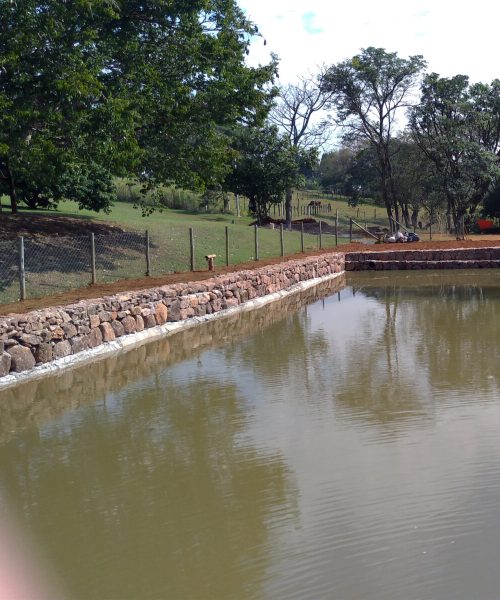 lago-de-pesca-2